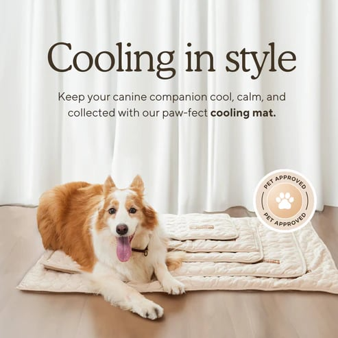 Dog Cooling Mat (4x more effective)