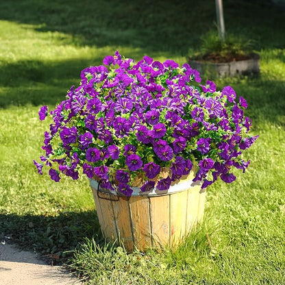 🌸 Spring Summer Home Decoration - 🌿 Morning Glory