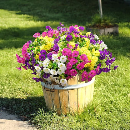 🌸 Spring Summer Home Decoration - 🌿 Morning Glory