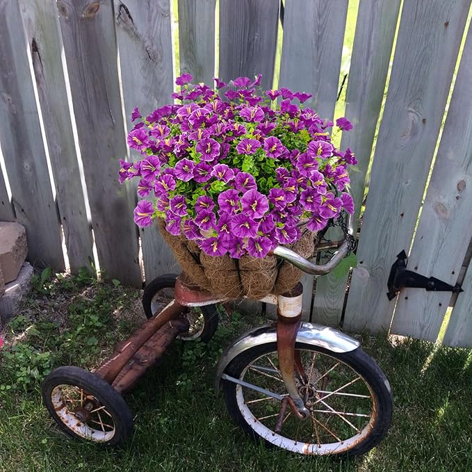 🌸 Spring Summer Home Decoration - 🌿 Morning Glory
