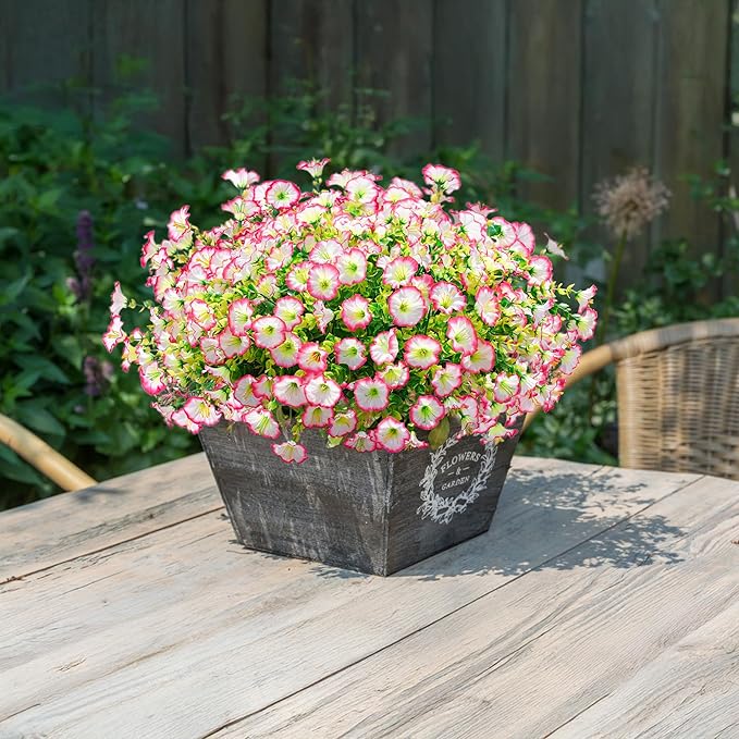 🌸 Spring Summer Home Decoration - 🌿 Morning Glory